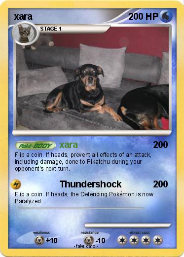 Pokemon xara