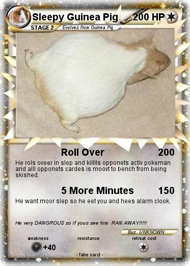 Pokemon Sleepy Guinea Pig