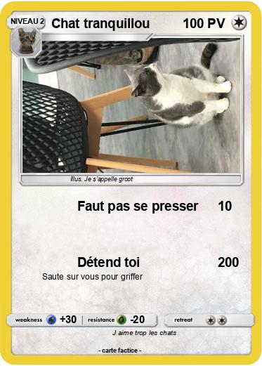 Pokemon Chat tranquillou