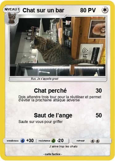 Pokemon Chat sur un bar