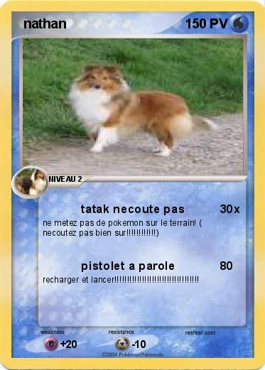 Pokemon  nathan
