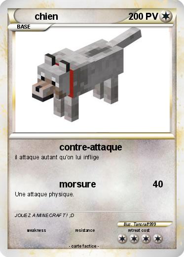 Pokemon chien