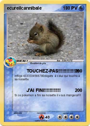 Pokemon ecureilcannibale