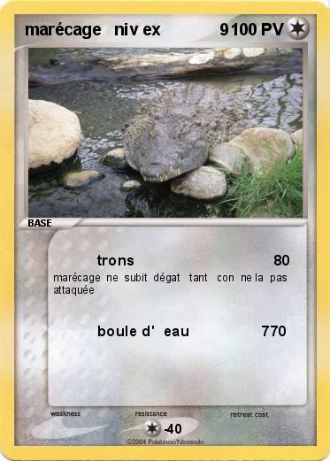 Pokemon marécage   niv ex             9