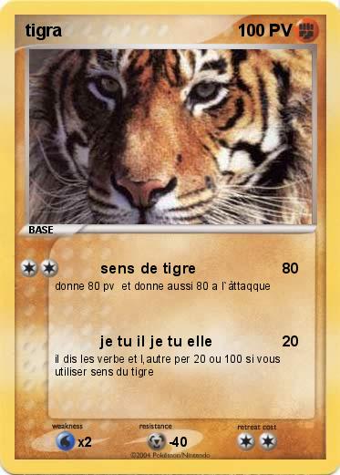 Pokemon tigra