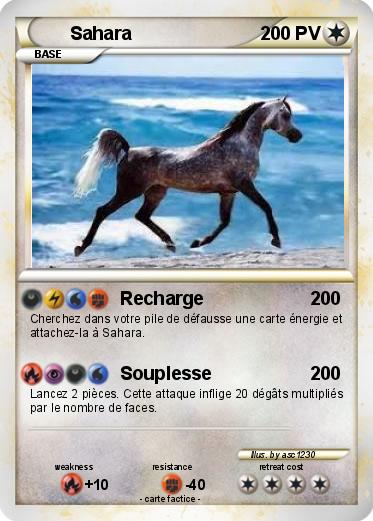 Pokemon Sahara