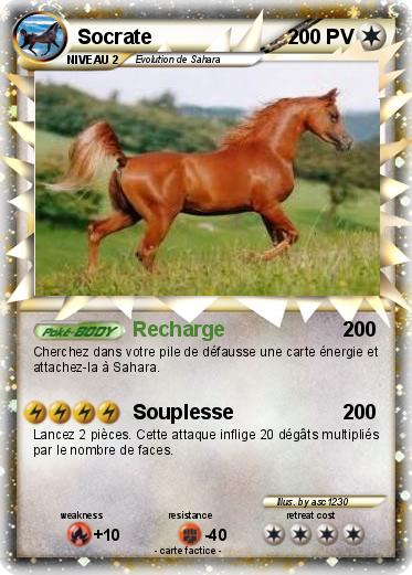 Pokemon Socrate