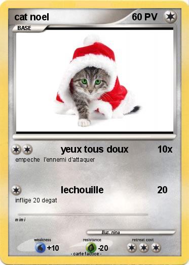 Pokemon cat noel