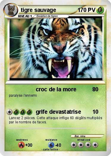 Pokemon tigre sauvage