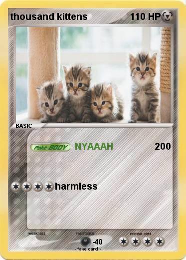 Pokemon thousand kittens