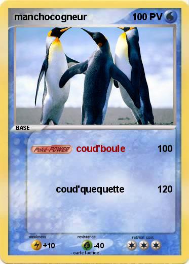 Pokemon manchocogneur