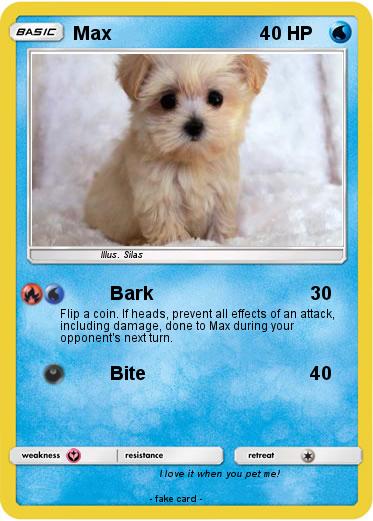 Pokemon Max