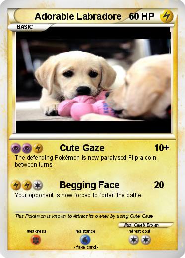 Pokemon Adorable Labradore
