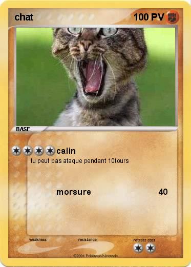 Pokemon chat