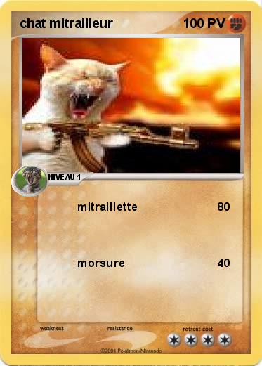 Pokemon chat mitrailleur
