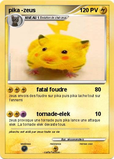 Pokemon pika -zeus