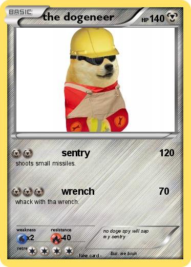 Pokemon the dogeneer