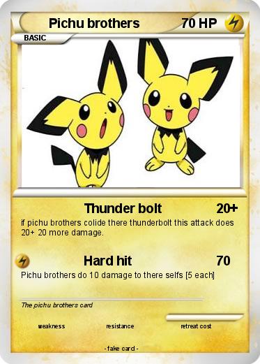 Pokemon Pichu brothers
