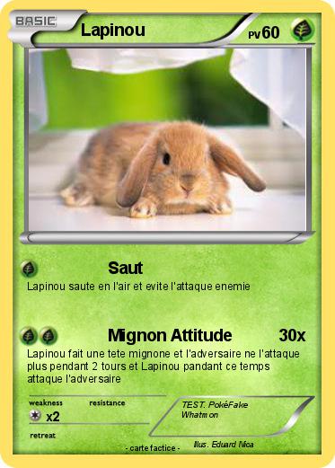 Pokemon Lapinou