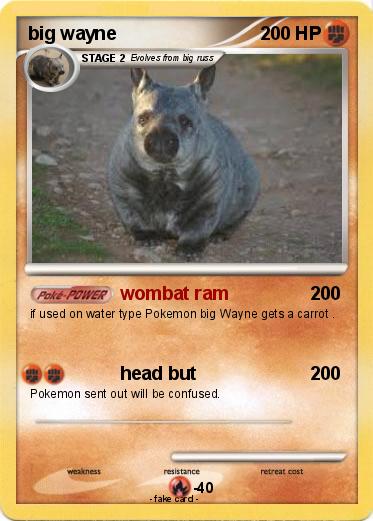 Pokemon big wayne