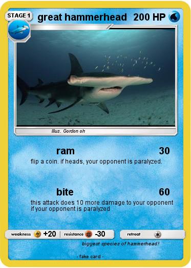 Pokemon great hammerhead