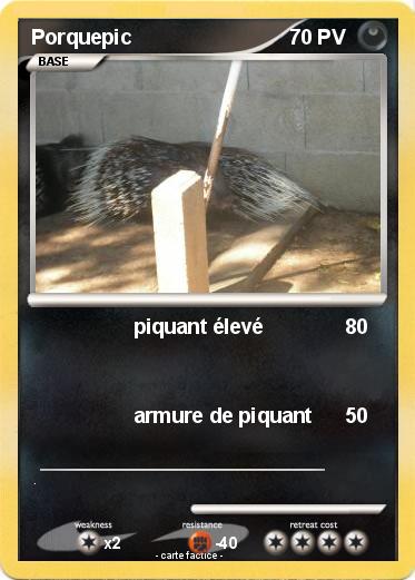 Pokemon Porquepic