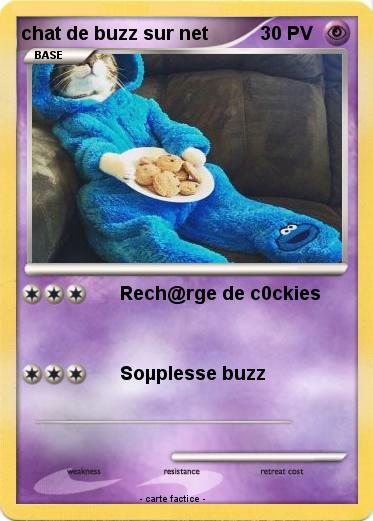Pokemon chat de buzz sur net