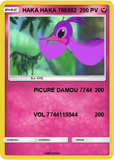 Pokemon HAKA HAKA 788882