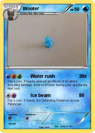Pokemon Wooter