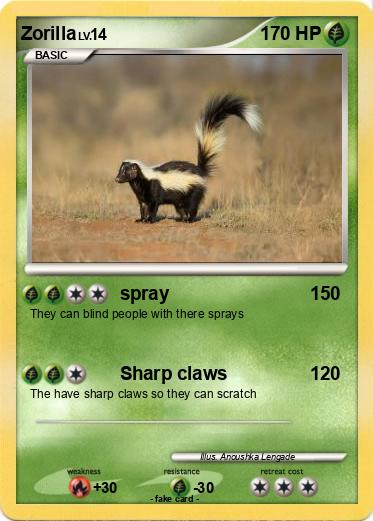 Pokemon Zorilla