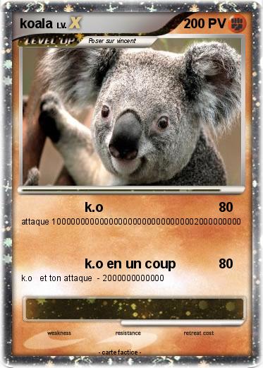 Pokemon koala