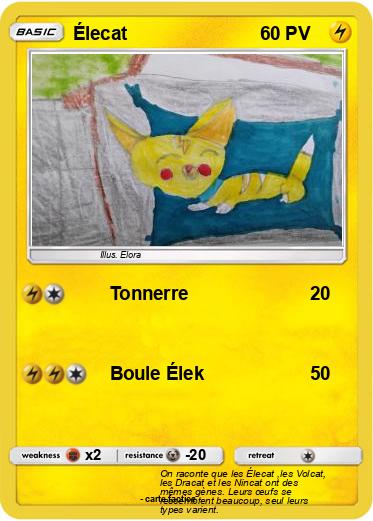 Pokemon Élecat