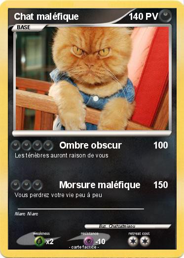 Pokemon Chat maléfique