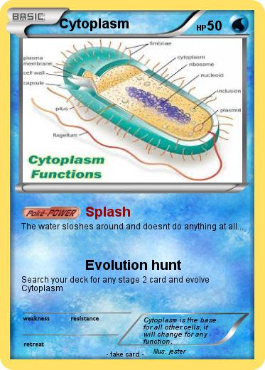 Pokemon Cytoplasm