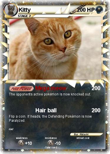 Pokemon Kitty