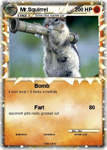 Pokemon Mr.Squirrel