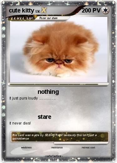 Pokemon cute kitty