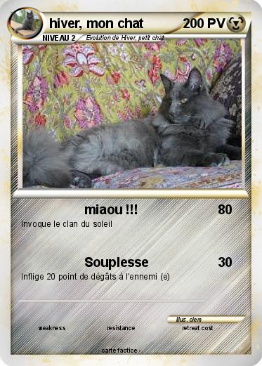 Pokemon hiver, mon chat