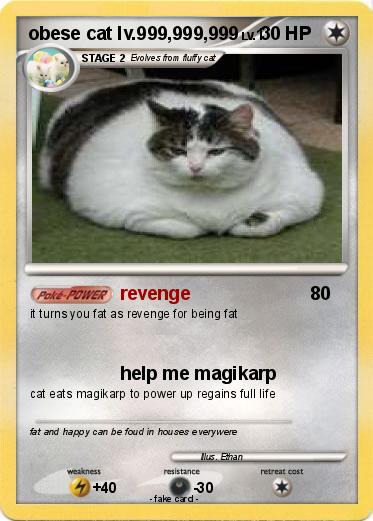 Pokemon obese cat lv.999,999,999