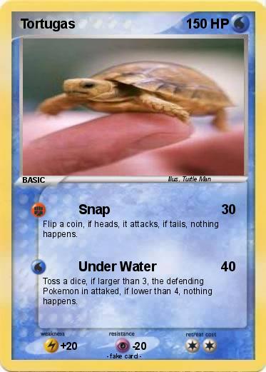 Pokemon Tortugas