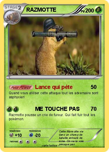 Pokemon RAZMOTTE
