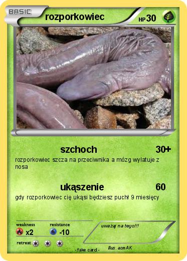Pokemon rozporkowiec
