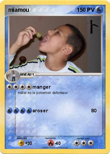 Pokemon miamou
