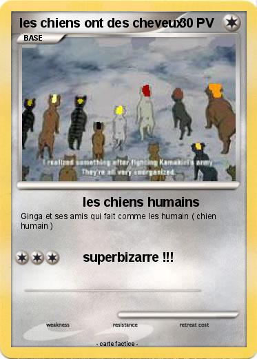 Pokemon les chiens ont des cheveux