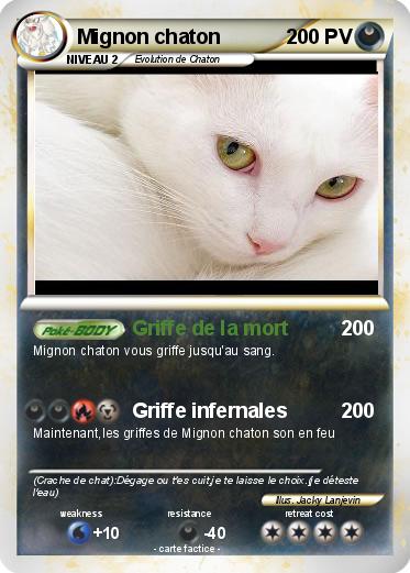 Pokemon Mignon chaton