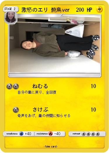 Pokemon 激怒のエリ 焼鳥ver
