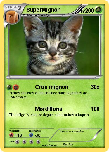 Pokemon SuperMignon