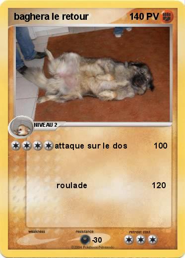 Pokemon baghera le retour