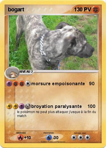 Pokemon bogart