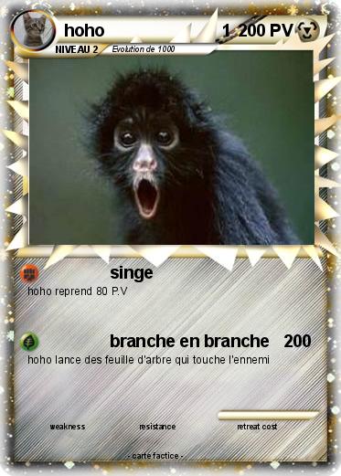 Pokemon hoho                         1